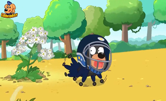 Dont Touch Wild Plants