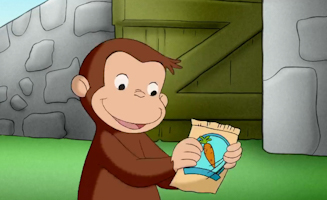 Die Perfekte Karotte