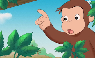 Der Ziegen-Rasenmaher-Dienst