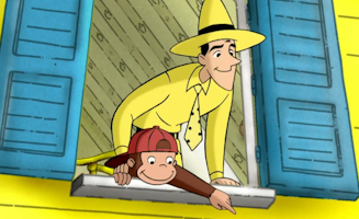 Rechnungen Kaninchen