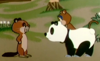 La Boda De La Bella Elfina