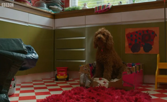 Waffle The Wonder Dog S01E27 Moving Waffle