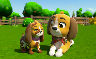 La Chanson De La Fete Des Peres