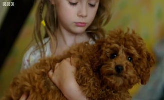 Waffle The Wonder Dog S01E05 Waffle Grows