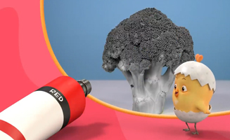 Curious Como - Broccoli