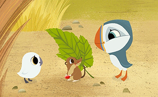 Puffin Rock S03E03 Rise and Shine