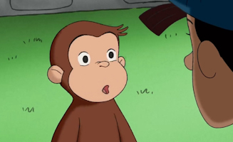 Das Regenwurm-Rennen