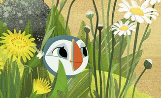 Puffin Rock S03E17 Hide and Swim