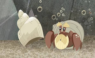 Puffin Rock S03E12 Bernie Down Under