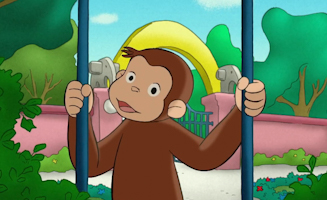 Der Elefant Von Obendrüber