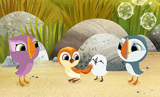 Puffin Rock S03E05 Just Like Puffin