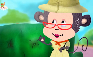 Pelicans - Social Birds In Flocks