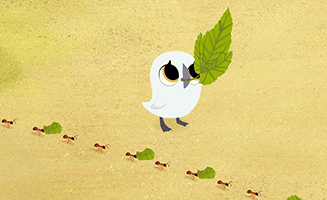 Puffin Rock S03E07 Bug Bug Buggies