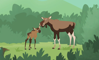 Wild Kratts S07E16 Moose Nibbles