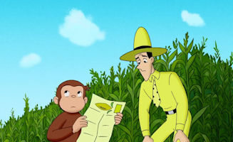 Labyrinth Im Maisfeld