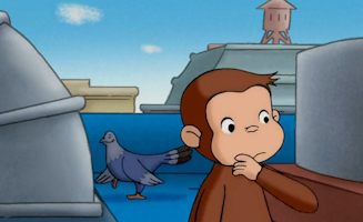 Das Affchen Als Hund