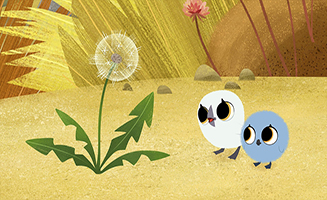 Puffin Rock S03E11 Super Spikey