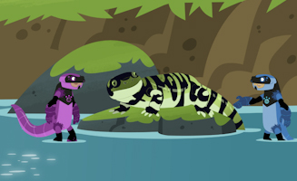 Wild Kratts S07E10 Salamander Streaming