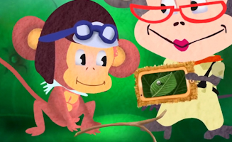 Caterpillar To Butterfly