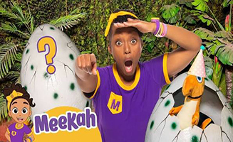 Meekahs Mystery Dinosaur Search