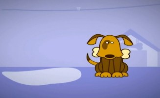 Learn Animals With Louie