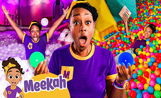 Did Somebody Say Ball Pit