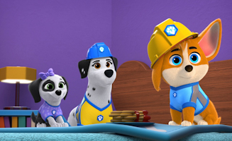 Pupstruction S02E20 A Present for PawPaw - Petsburg Falls