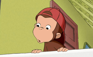 Wo Sind Die Kaninchen