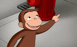 Coco Der Wissenschaftler