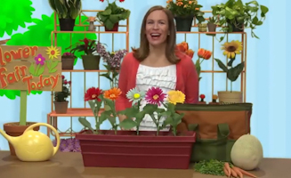 Sign Language Letters Numbers And Colors