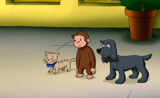 Coco Stellt Die Uhr Zuruck