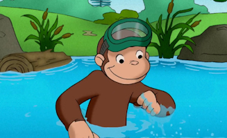 Kaulquappen Uberraschung