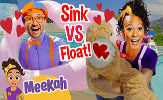 Sink Or Float Lets Find Out