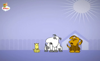 Meet Brownie The Dog