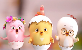 Curious Como - Watermelon