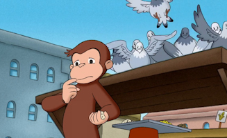 Arger Mit Den Gemusesamen