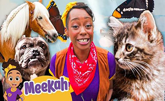 Who Let The Dogs Out