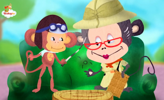 Porcupines - Animals With Quills