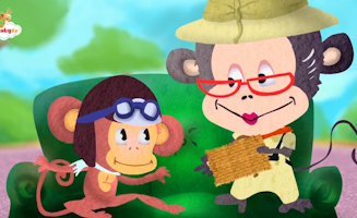 Ostrich - The Largest Bird In The World