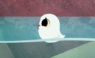 Puffin Rock S03E20 Swimming Lesson