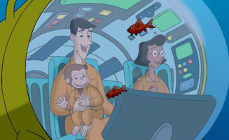 Meeresaffe Auf Satellitensuche