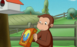 Hopsi Und Das Vogelfutter