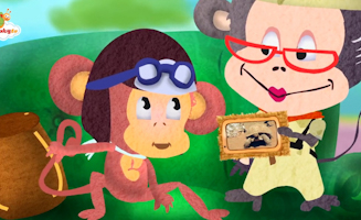 Tortoise - A House On Its Back