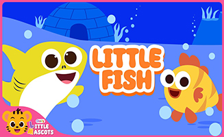 Fish Go Swimming