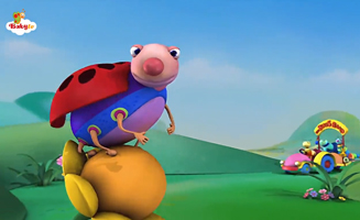 Arabic Music With The Big Bugs Band