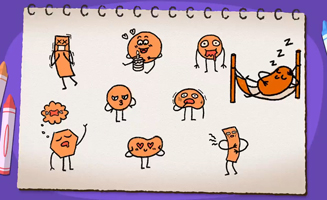 Emotion And Feeling With Como - Hungry