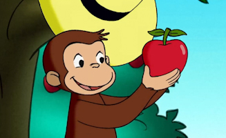 Jeder Apfel Ist Wichtig