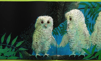 Bedtime Tales With The Bears