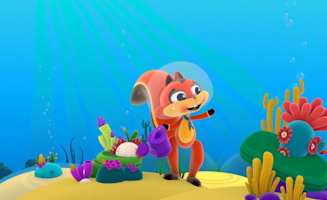 Hole In The Middle Of The Sea