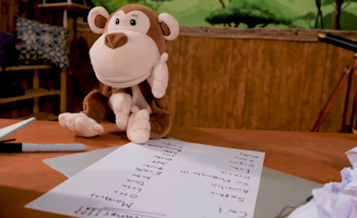 Cats And Dogs What To Adopt For Obo The Monkey